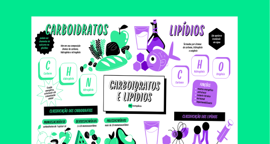 Carboidratos e Lipídios