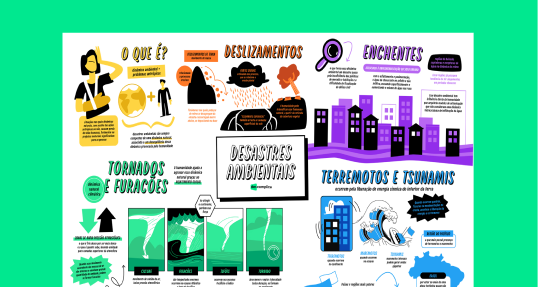 Desastres Ambientais
