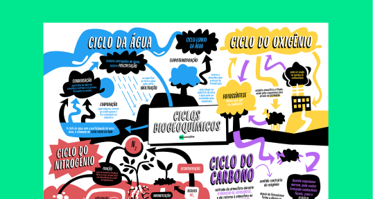 Ciclos Biogequímicos
