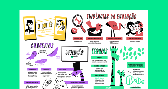 Evolução