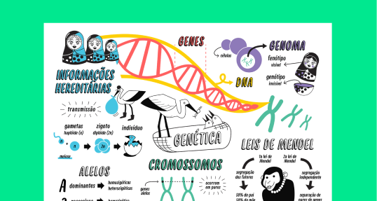 Genética