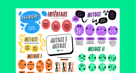 Mitose e Meiose