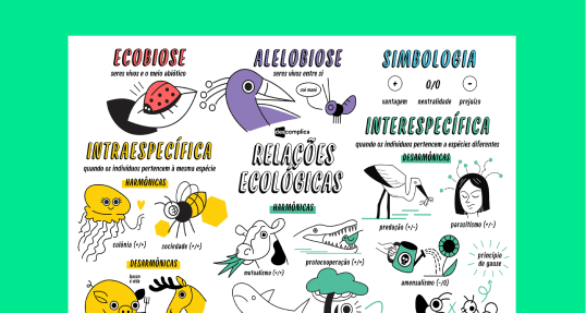 Relações Ecológicas