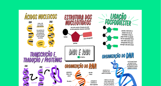 RNA e DNA