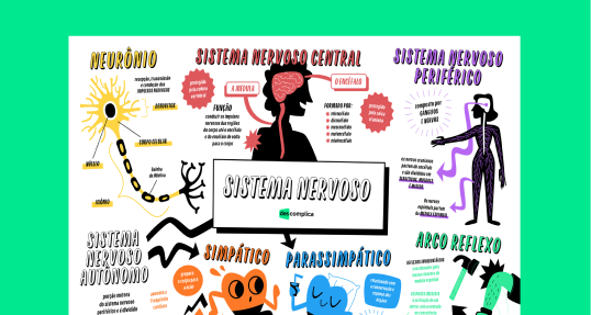 Sistema Nervoso