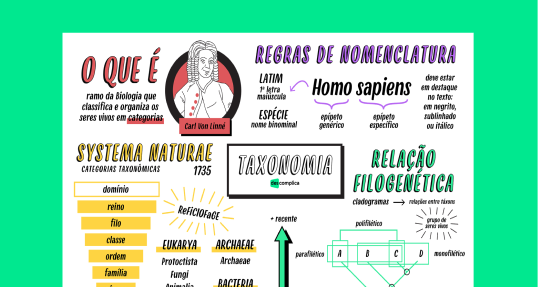 Taxonomia