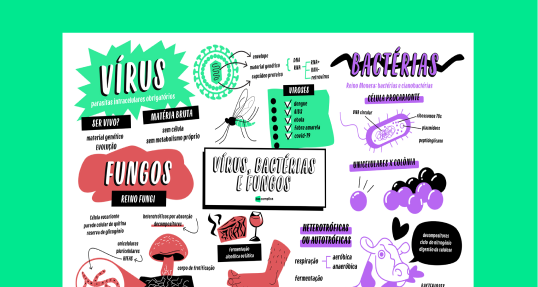 Vírus, Bactérias e Fungos